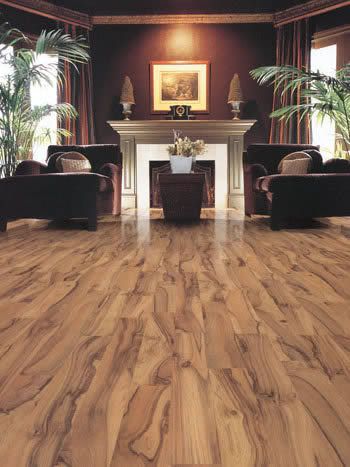 http://i471.photobucket.com/albums/rr72/deltavolga/livingroom_wood_350.jpg?t=1233363502