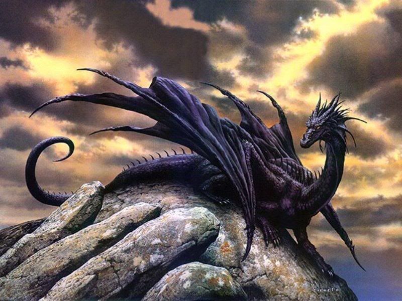 black-dragons1.jpg