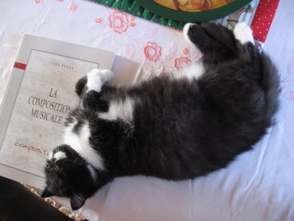 http://i471.photobucket.com/albums/rr74/milou45/Dufy35.jpg