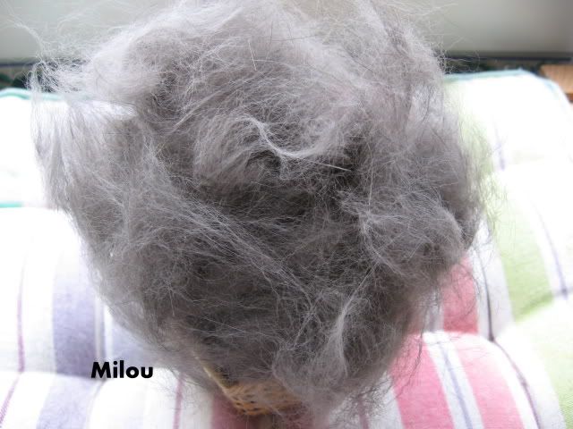 http://i471.photobucket.com/albums/rr74/milou45/poilsfifi003.jpg