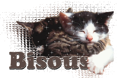 http://i471.photobucket.com/albums/rr74/milou45/zoobi-38de81.gif