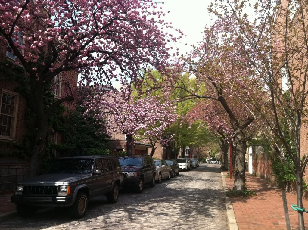 Philly2011026.jpg