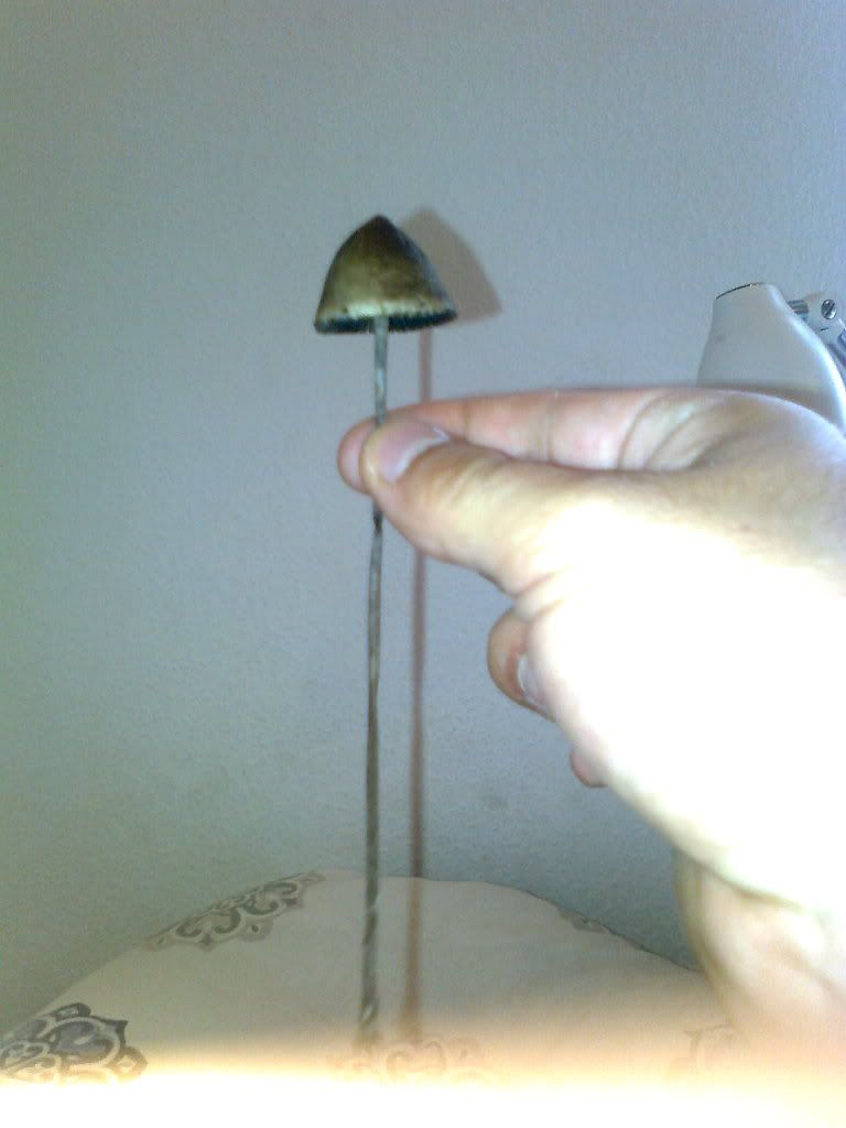 Billede