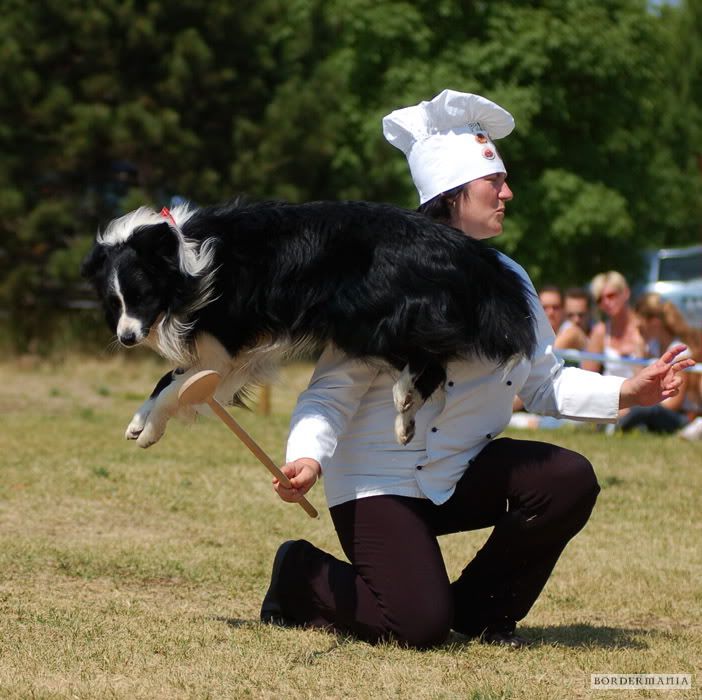 dogdancing20090607-080_W.jpg