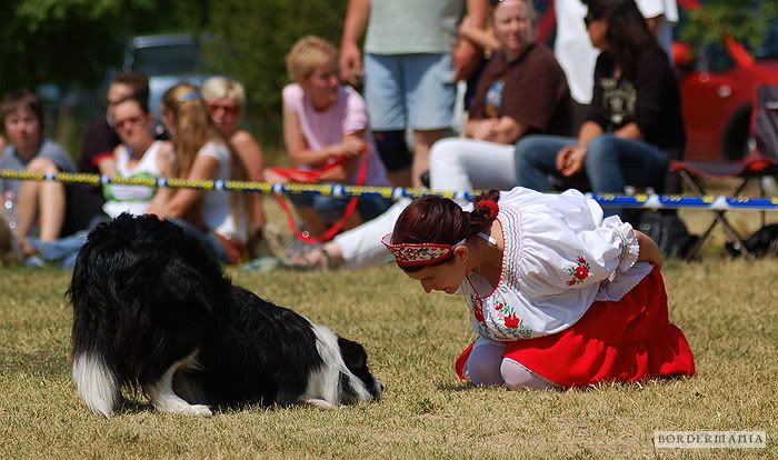 dogdancing20090607-151_W.jpg