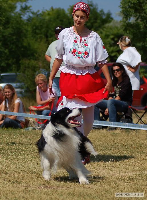 dogdancing20090607-185_W.jpg