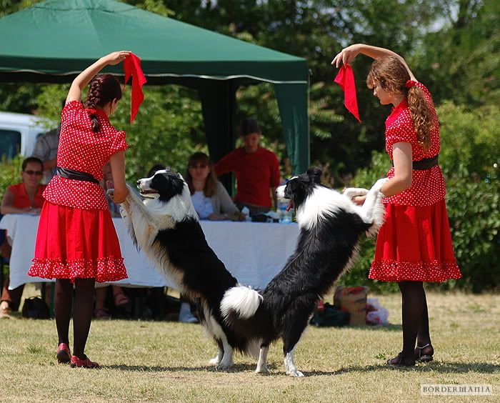 dogdancing20090607-300_W.jpg