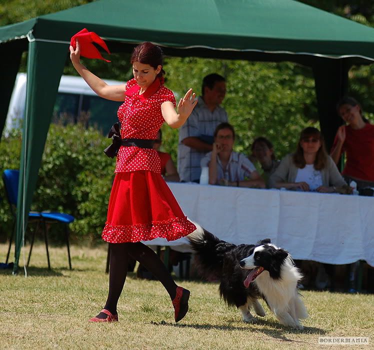 dogdancing20090607-302_W.jpg