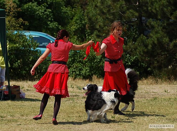 dogdancing20090607-318_W.jpg