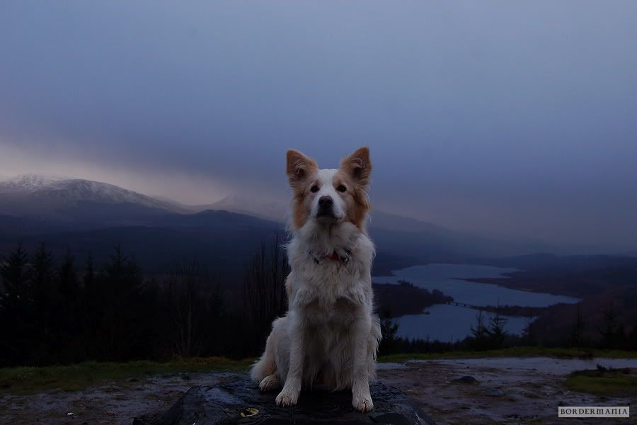 Scotland20081123-066_W.jpg