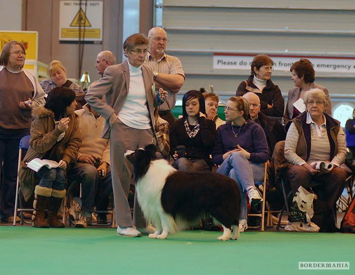 Crufts_120090308-122_W.jpg