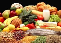 Bodybuilding & Diet