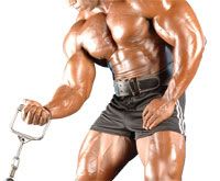 Foundation for Building Muscle