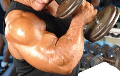 Bodybuilding & Weight Lifting