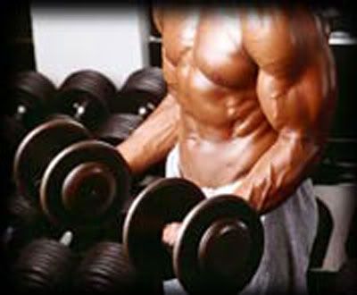 Routine & bodybuilding
