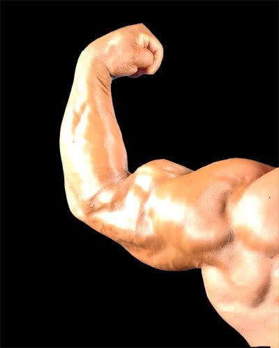 Building Biceps
