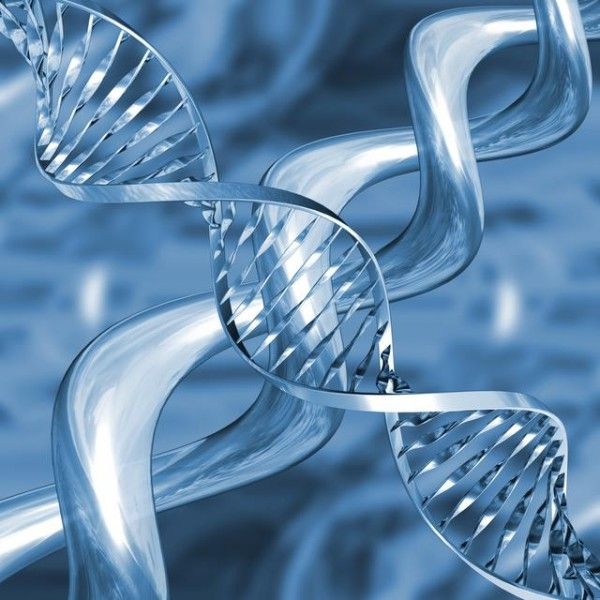 DNA-600x600_zps0fdd9e98.jpg