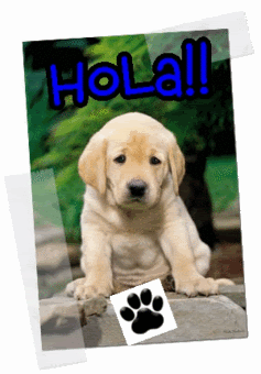 Hola_Doggy.gif Hola !! image by rayexx83