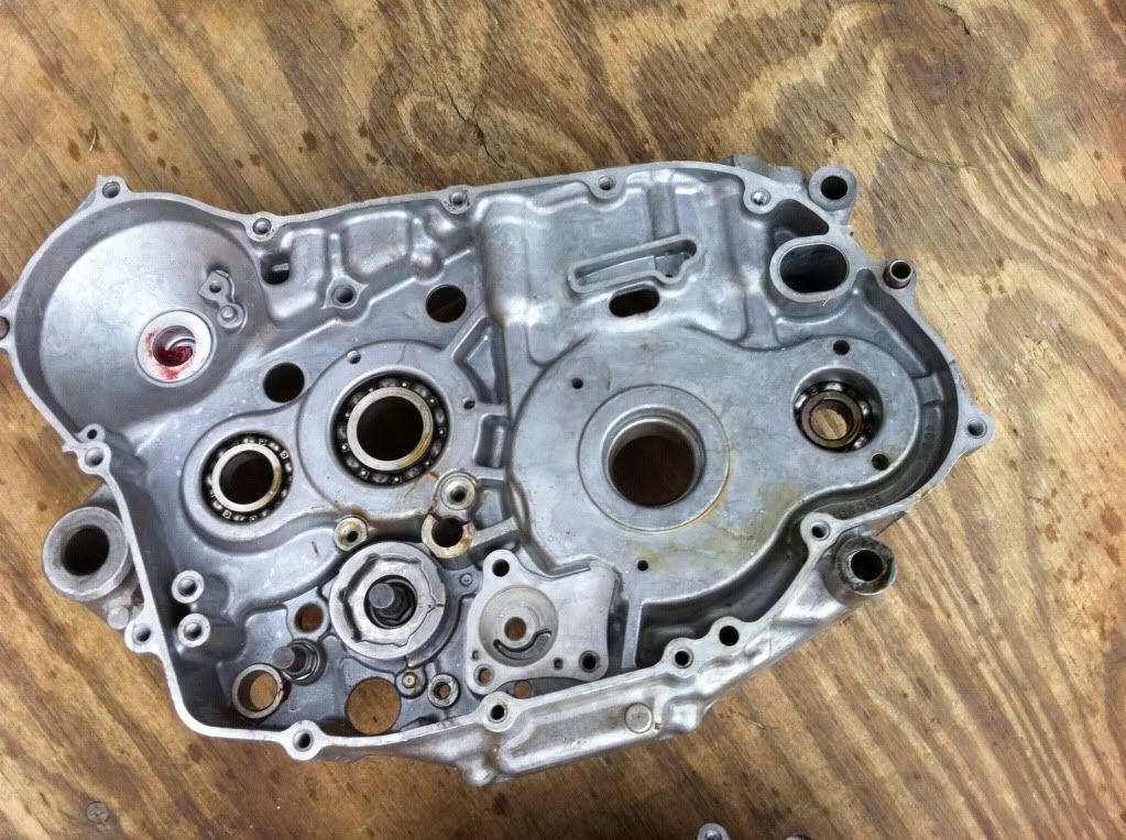 engine cases Suzuki LTR450 Forum