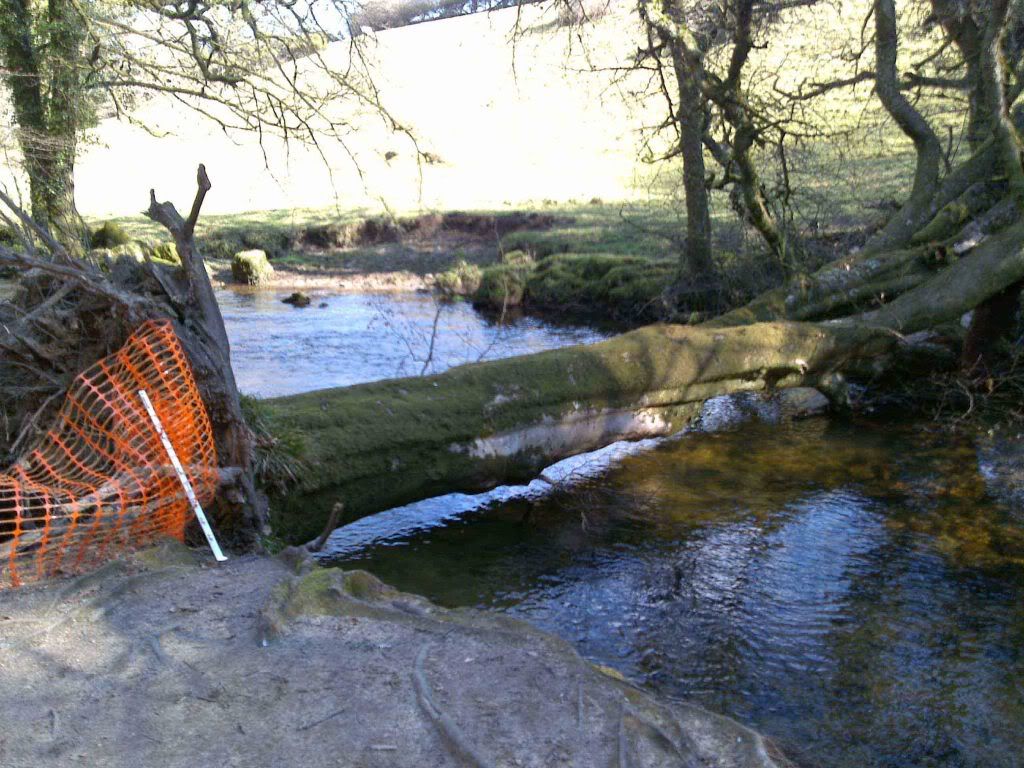 Fowey River - Golitha Falls Carpark to Treverbyn Mill - The UK Rivers ...