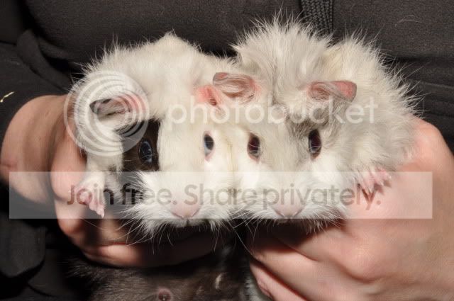 DSC_7882.jpg