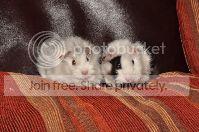 DSC_7883.jpg