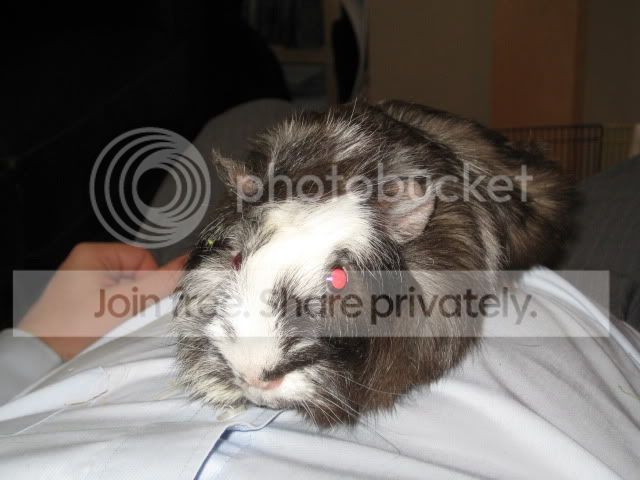 IMG_0805.jpg