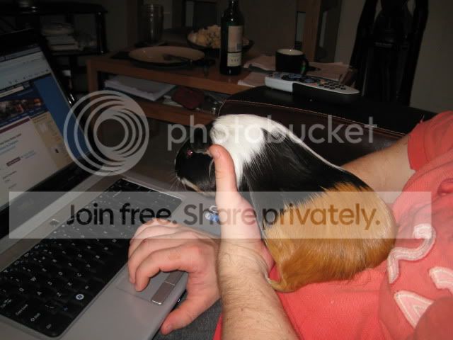 IMG_1194.jpg